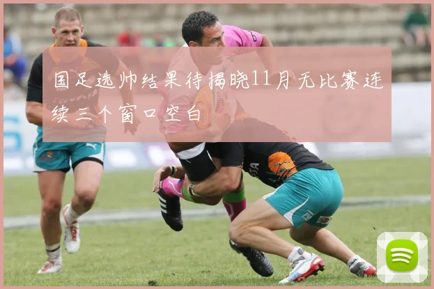 国足选帅结果待揭晓11月无比赛连续三个窗口空白