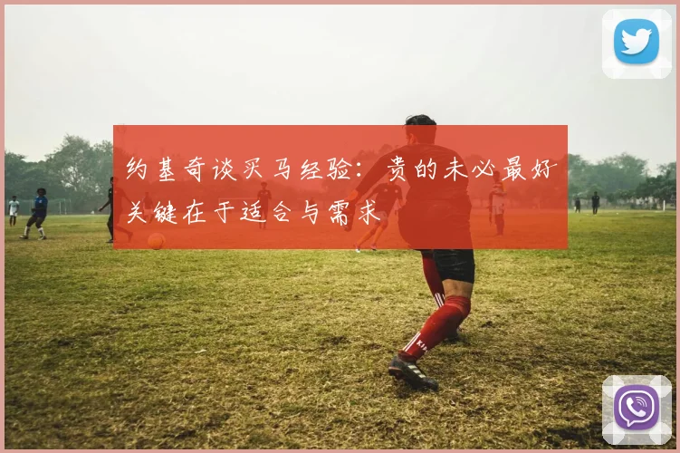 约基奇谈买马经验：贵的未必最好关键在于适合与需求